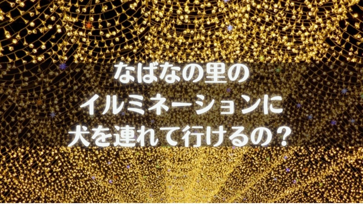 なばなの里のイルミネーションに犬を連れて行けるの？