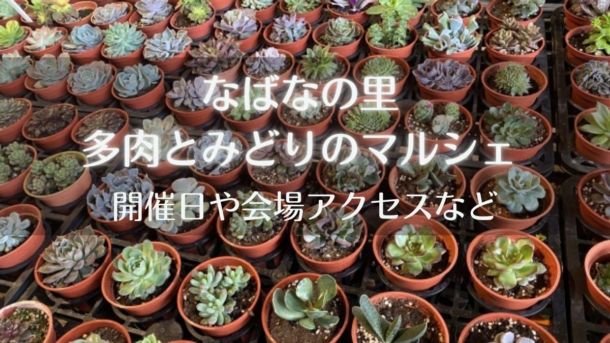 なばなの里の多肉植物イベントを徹底調査！！開催日や会場アクセスも紹介
