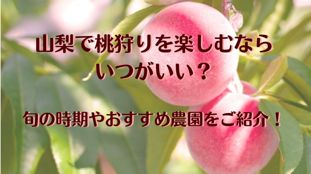 山梨で桃狩りを楽しむならいつがいい？旬の時期やおすすめ農園をご紹介！