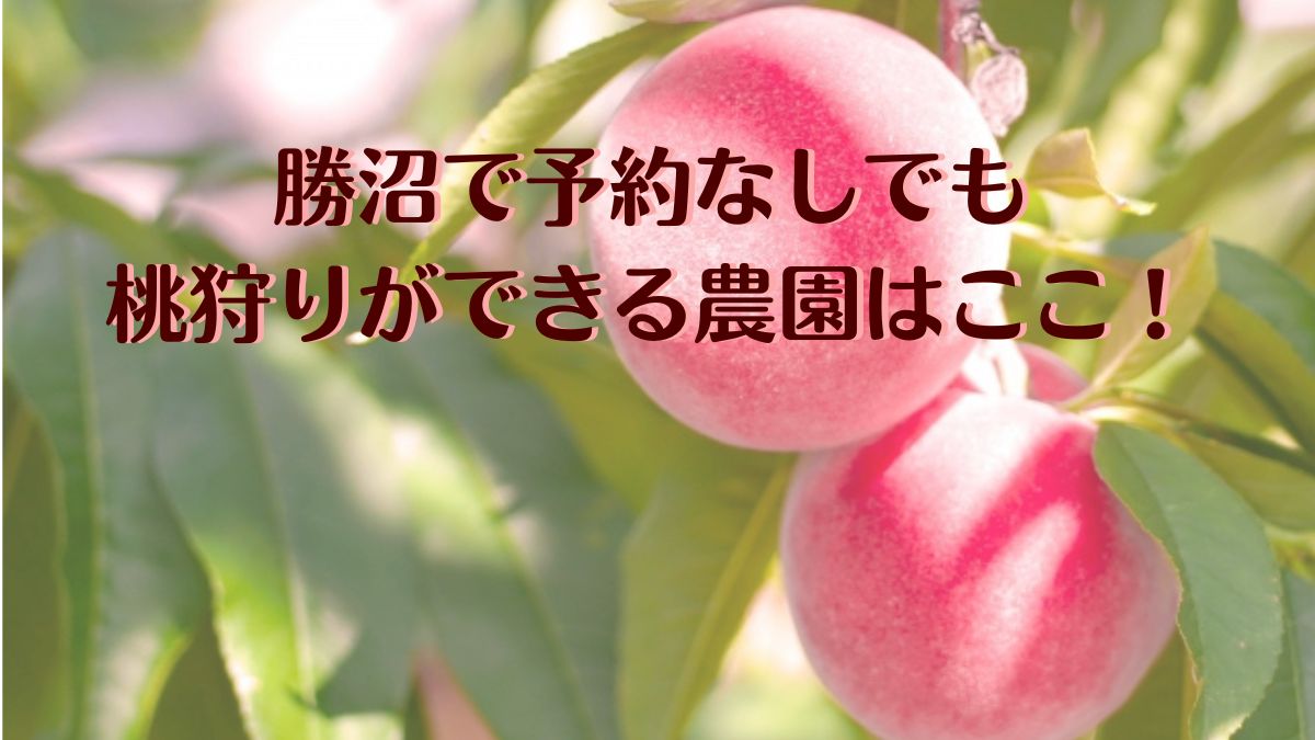勝沼で予約なしでも 桃狩りができる農園はここ！